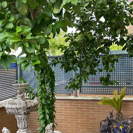 בית אירוח Glass Student-habitacion Doble Privada En Casa Compartida-uebica2 מאיירנה דל אלחראפה